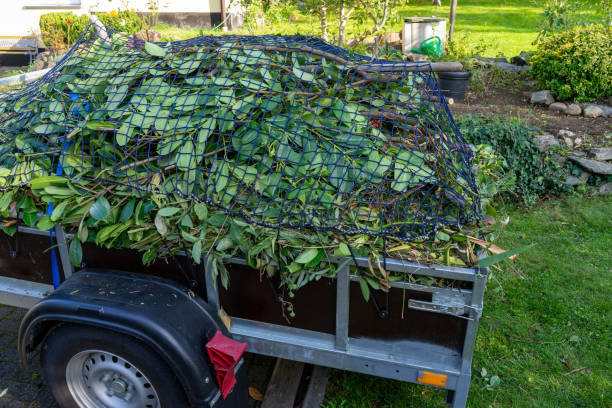 Professional Junk Removal  in Charlotte Park, FL